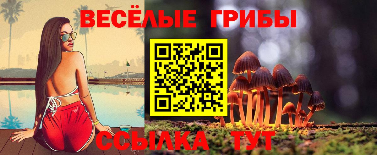 купить закладку  Псилоцибиновые грибы ЛСД  Вход с VPN  Псилоцибиновые грибы GOLDEN TEACHER  Аксай 